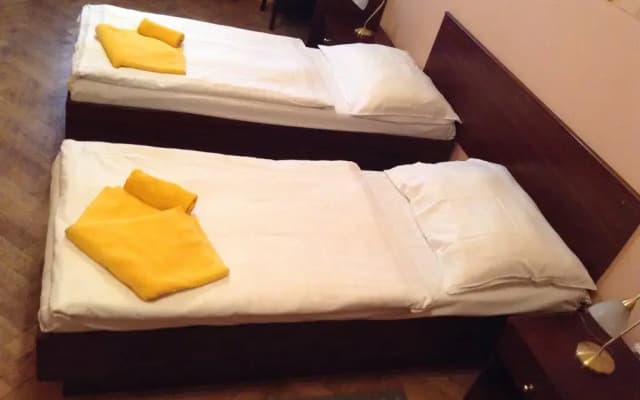 Victor Pivovar Hotel - photo 5