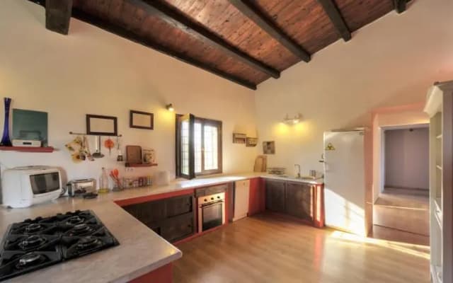 Tenuta Donna Olimpia - photo 4