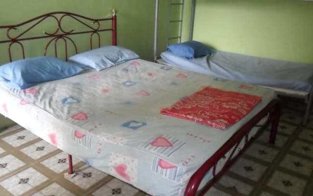 Greenleaf Guesthouse - photo 2