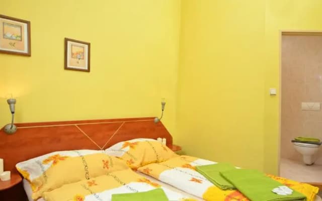 Manes Penzion - photo 3