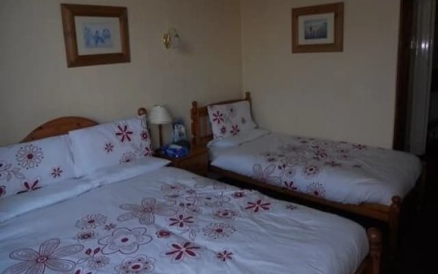 Cherrytree Villa Guest House - photo 3