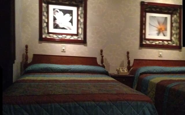 Hotel 31 - photo 3