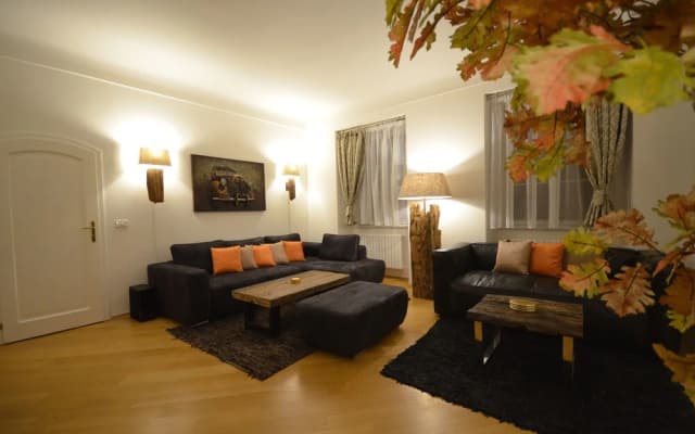 Attic Hroznova - Charles Bridge - photo 5