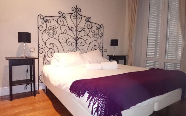 Apartamentos MLR Plaza Mayor - photo 4