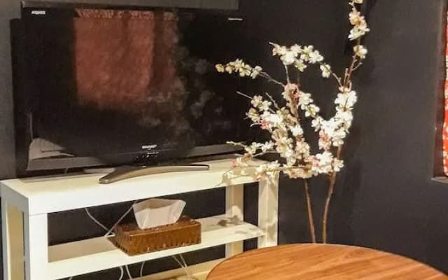 Sakura Villa Osaka - photo 2