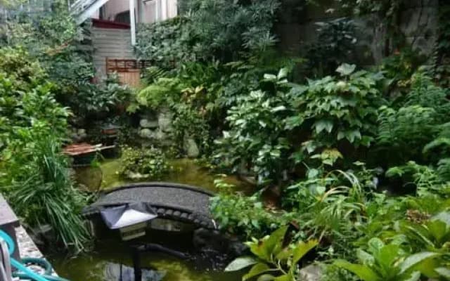 Ryokan Maizuru - photo 3