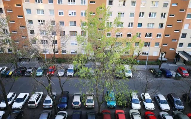 Erdőkerülő Apartman - photo 5