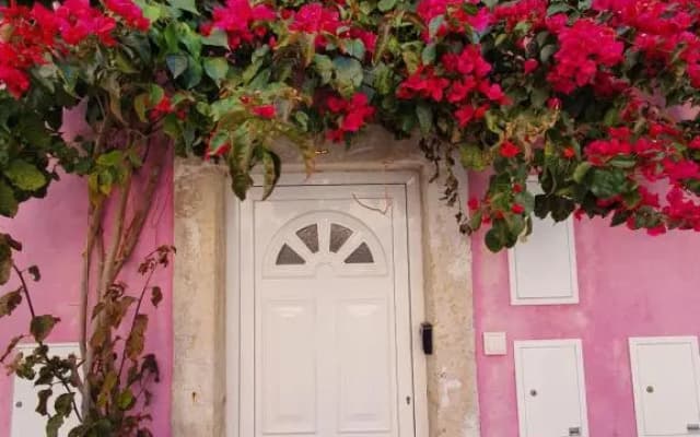 Casa Cor de Rosa - photo 5