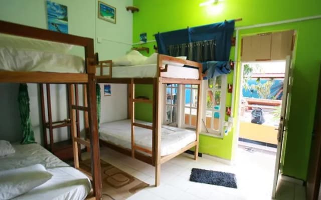Surf Inn Maldives - photo 3