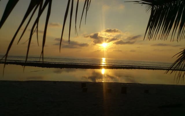 Ungoofaaru Inn - photo 4