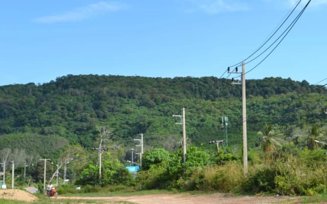 Pitt Bungalow - photo 3