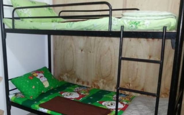 Budget Traveller Inn - photo 3