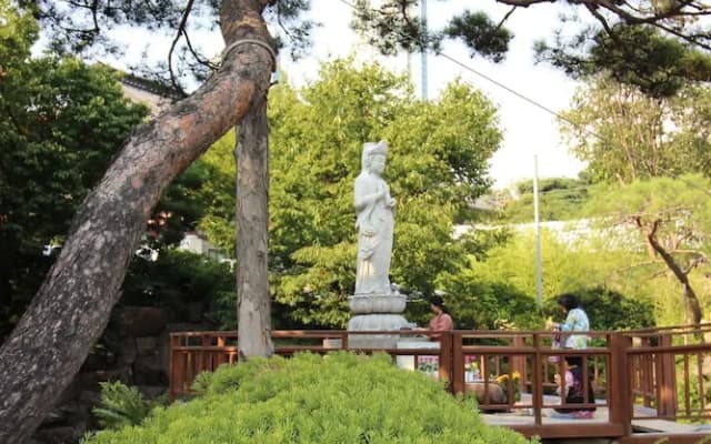 Weve House - photo 4