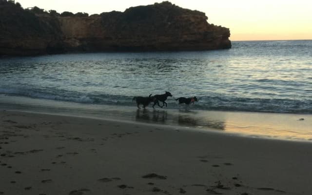 Bayplay Cottage And Portsea Apartments - photo 4