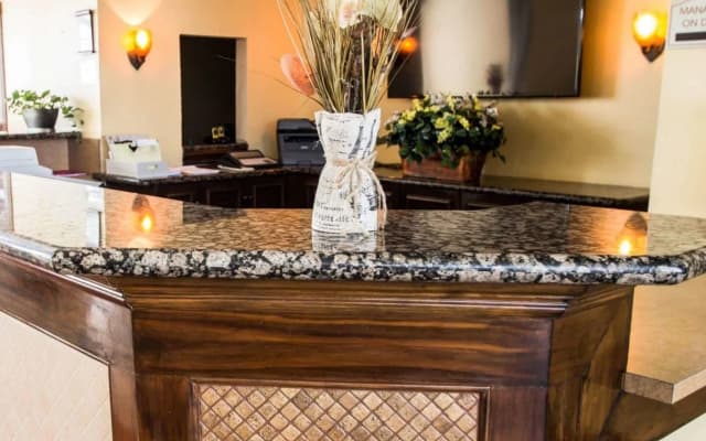 Stayable Orlando - photo 2