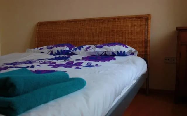Arpa Flat Rumba - photo 2