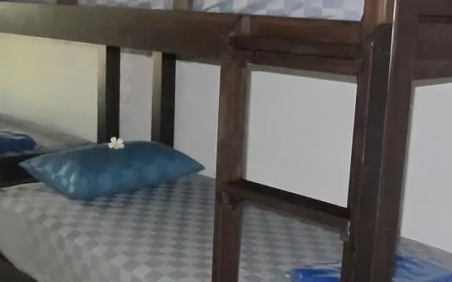 Back Home Backpackers - Hostel - photo 4