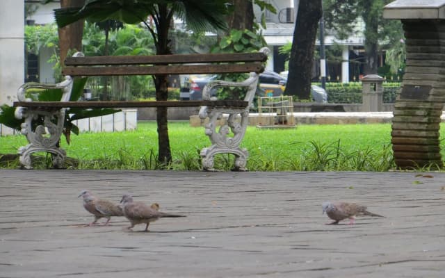 Bandara Transit - photo 5