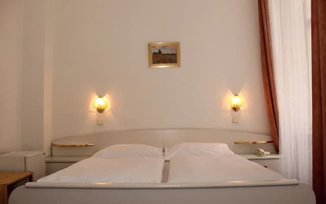 Hotel Meran - photo 5
