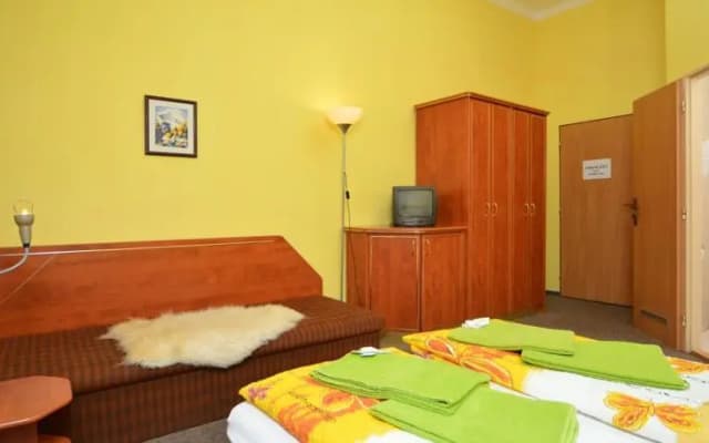 Manes Penzion - photo 2