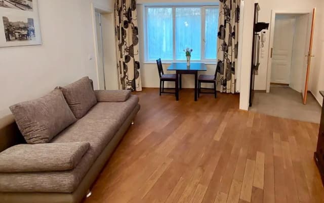 Vienna Studio Apartments - photo 2