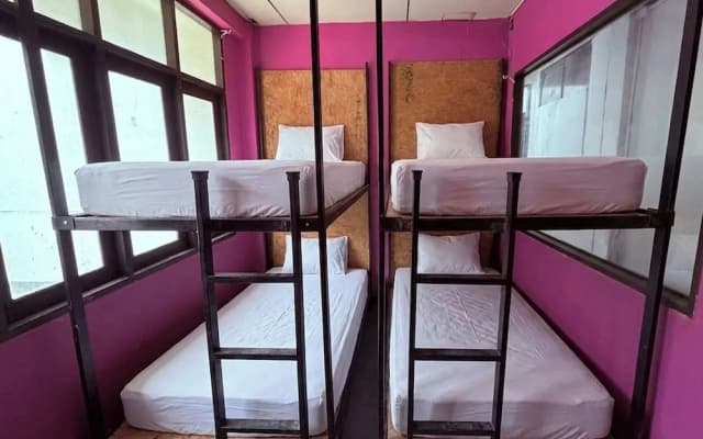 Pink Kraken Hostel - photo 2