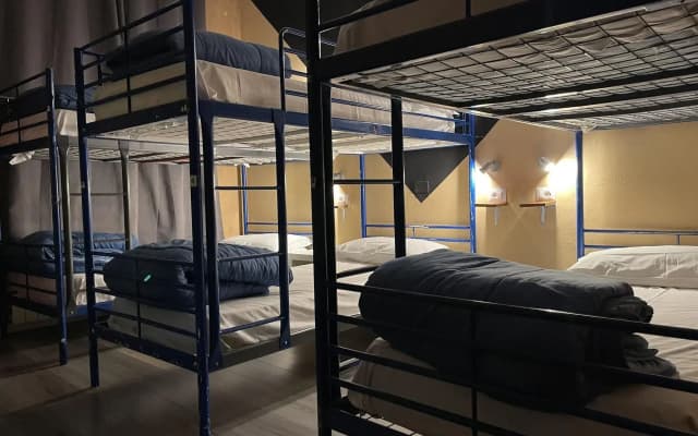 Lion University & Youth Hostel Milano - photo 4