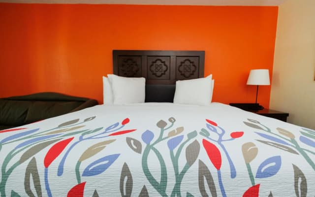Garnet Inn & Suites, Orlando - photo 5