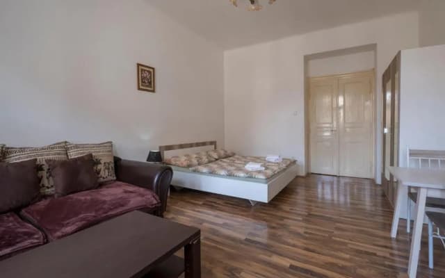 Downtown Apartments Prague - photo 3