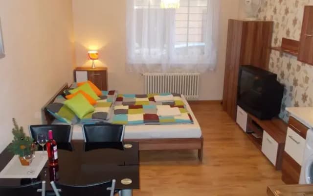 Beard Apartman Buda - photo 4