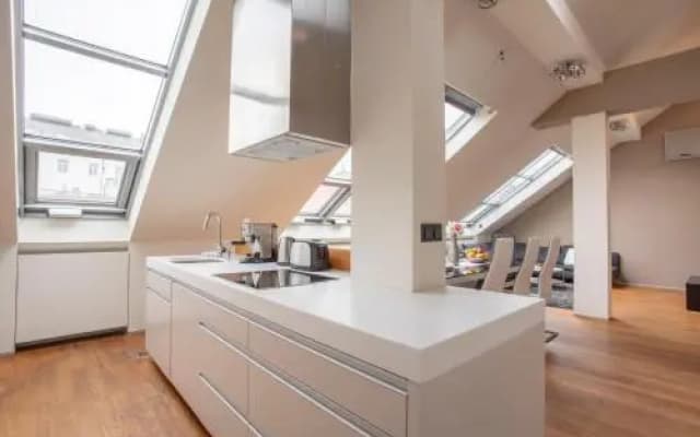 Ce Apartment Wenceslas Sq - photo 4