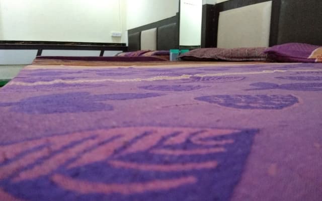 Hotel Silver Palace - Hostel - photo 5