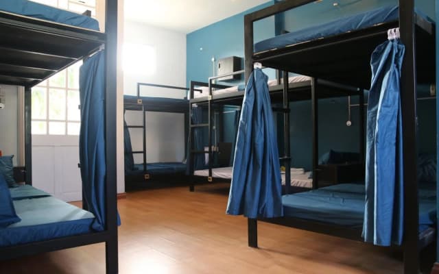 4 Seasons Hostel - photo 5