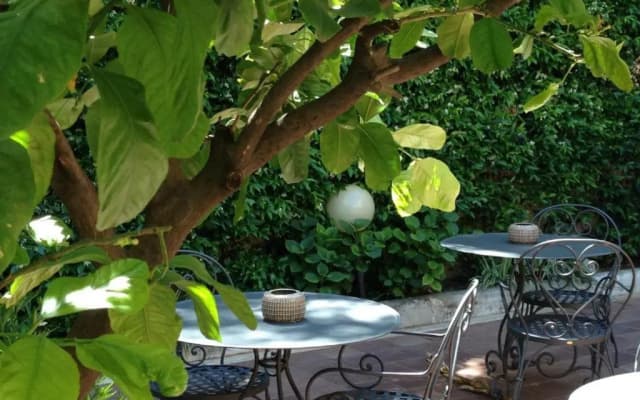 Hotel Astoria Garden - photo 5