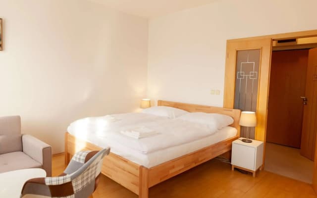 Vitkov Park Apartment - photo 4