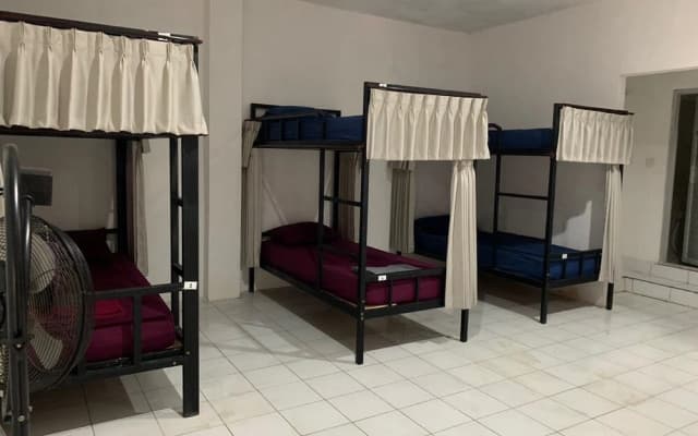 Arta Garden Guest House & Hostel - photo 3