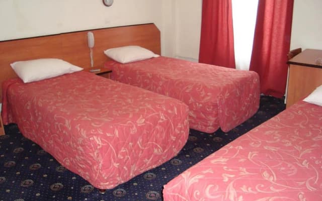 Hotel Liberty - photo 4
