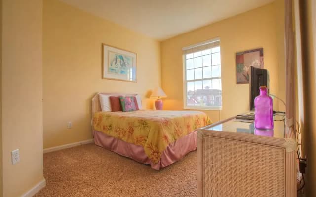 Newly Remodeled Lakeview Penthouse, Near Conv. Ctr - photo 5