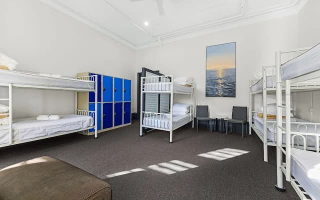 London Plane Backpackers - Hostel - photo 3