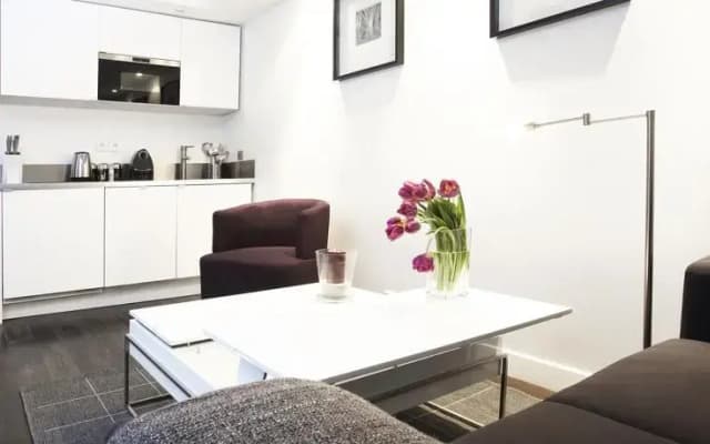 Luxury OneBedroom in Le Marais - photo 3