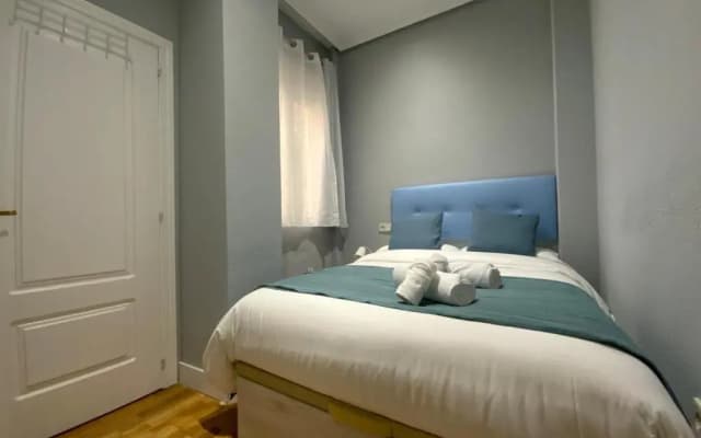 Apartments Madrid Principe - photo 2