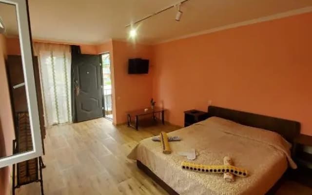 Galavani2 - photo 3