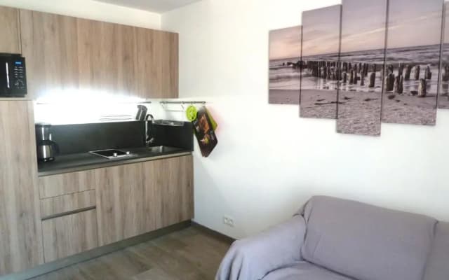 New 1 bedroom apt place Garibaldi - photo 5