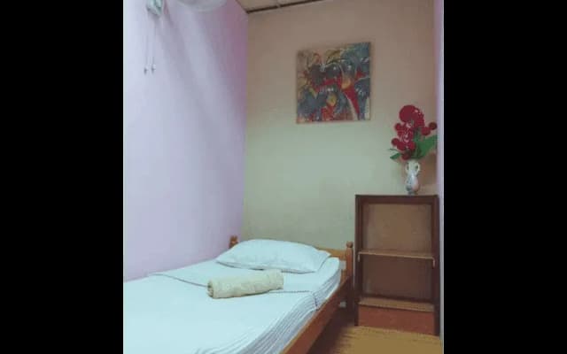 Oasis Guesthouse - photo 2