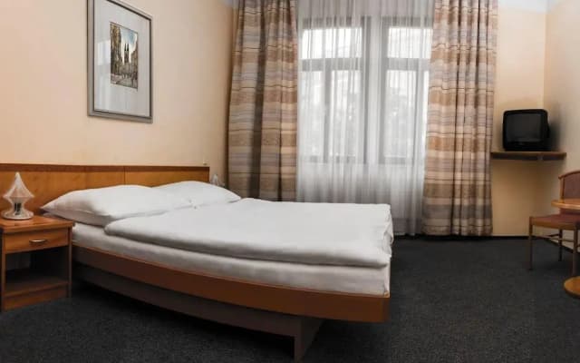 Hotel Dalimil - photo 4