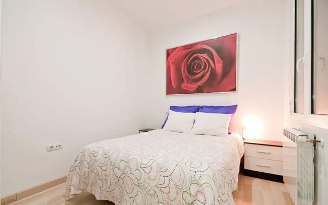 Olmo - photo 5