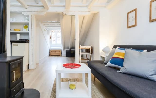 Charming Center Penthouse - photo 3