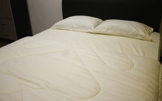 Winsen Roomstay - photo 3