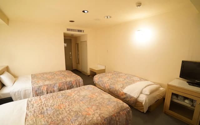 Hotel Shirakawago - photo 4