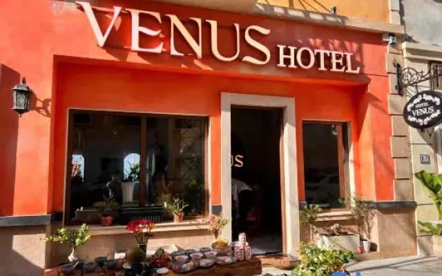 Venus Hotel Phu Quoc - photo 5
